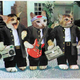 Illustration for article titled Popular Cat Meme Creator in Trouble with the Law